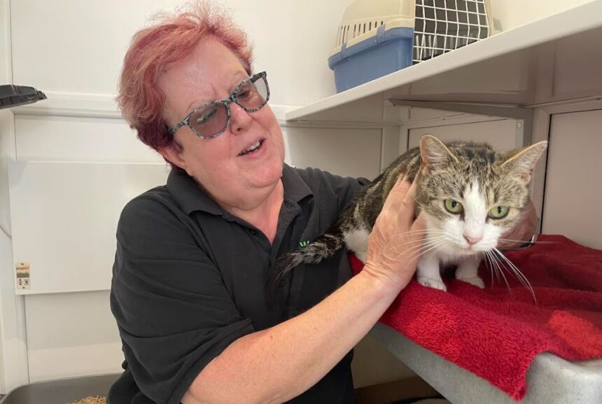 Lynn Jefferson is pictured with Ivy, one of several pregnant rescues currently under Woodlands' care