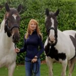 Stephanie Miller has opened The Sport Horse Vet in Southport
