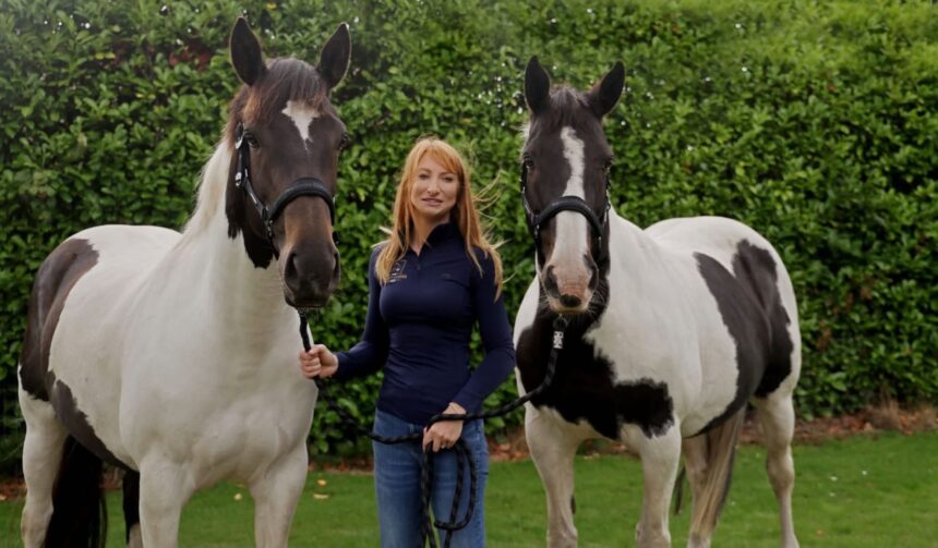 Stephanie Miller has opened The Sport Horse Vet in Southport