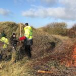 Men on the Tide, a free, three-week conservation programme clearing invasive Sea Buckthorn from the Ainsdale dunes, operated by The Hearth Network CIC