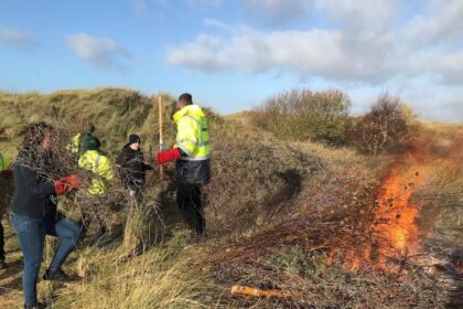 Men on the Tide, a free, three-week conservation programme clearing invasive Sea Buckthorn from the Ainsdale dunes, operated by The Hearth Network CIC