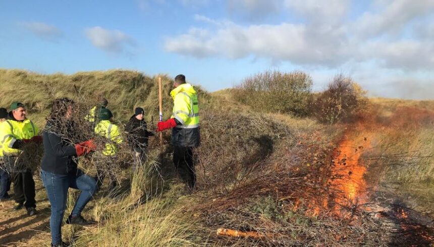 Men on the Tide, a free, three-week conservation programme clearing invasive Sea Buckthorn from the Ainsdale dunes, operated by The Hearth Network CIC